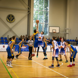 Vicemēra kauss 2017